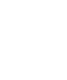 景
